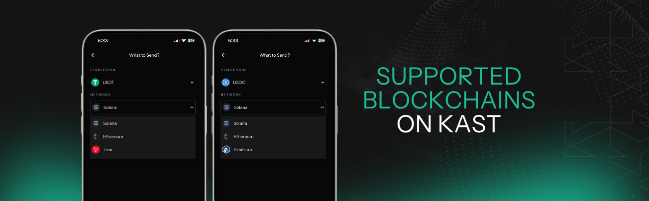 WhatNetworks_BlockchainsdoesKASTsupport.png