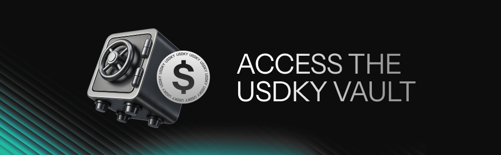 How Do I Access The USDKY Vault_.png