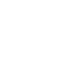 Security & Verification